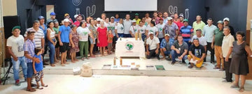 Parceria entre agricultura familiar e indústria têxtil fortalece cultivo de algodão orgânico na Paraíba